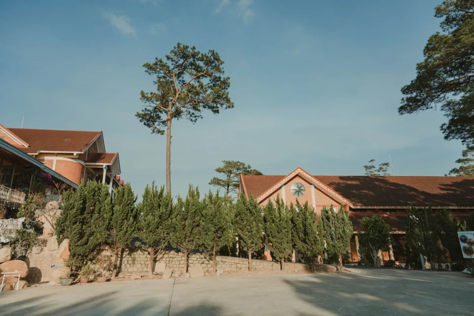 Tại Nguyễn Hoàng Anh Thư